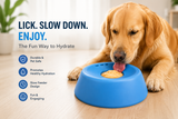 Slow Feeder Dog Bowls for Liquid Treat